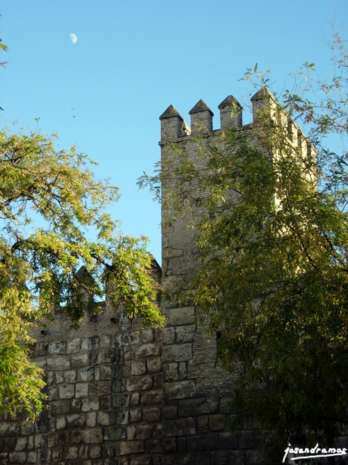Foto de Sevilla (Andalucía), España