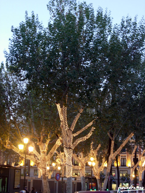 Foto de Sevilla (Andalucía), España
