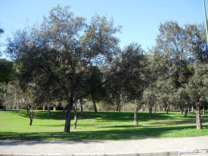 Foto de Sevilla (Andalucía), España