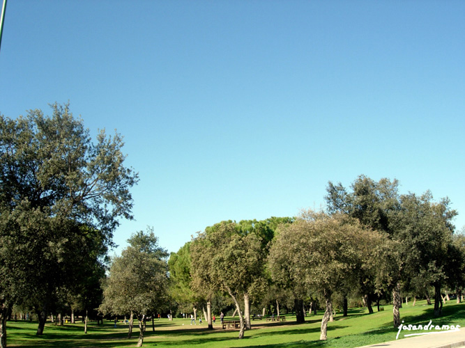 Foto de Sevilla (Andalucía), España