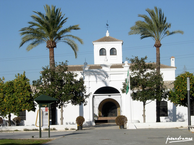 Foto de Sevilla (Andalucía), España