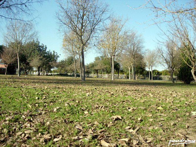 Foto de Sevilla (Andalucía), España