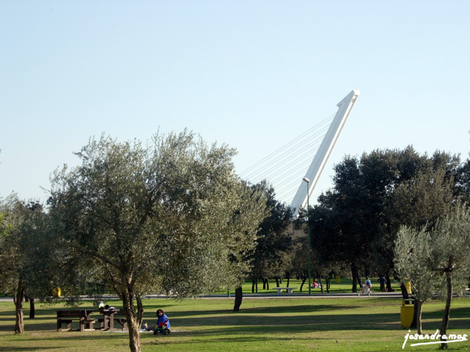 Foto de Sevilla (Andalucía), España