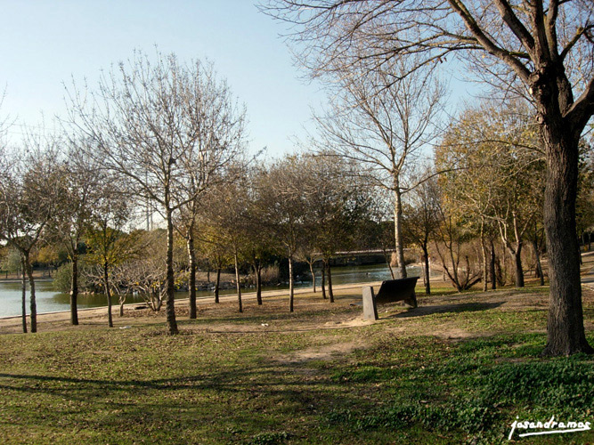Foto de Sevilla (Andalucía), España