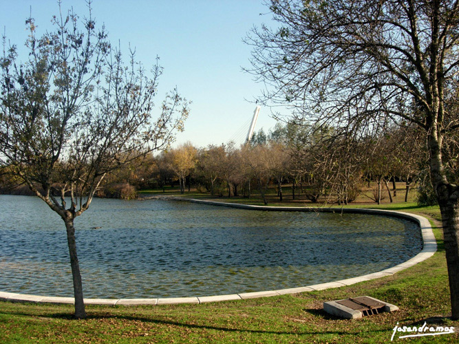 Foto de Sevilla (Andalucía), España