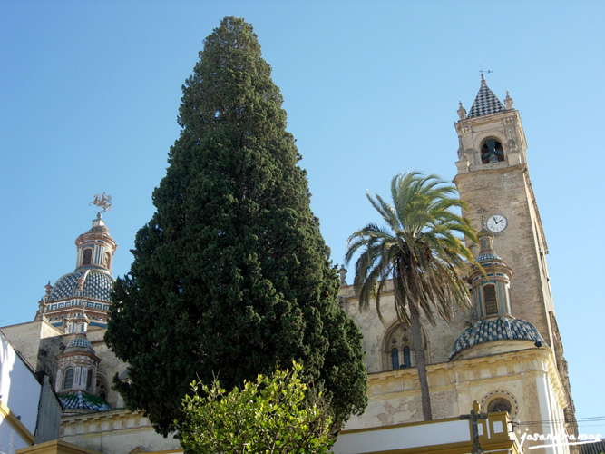 Foto de Utrera (Sevilla), España