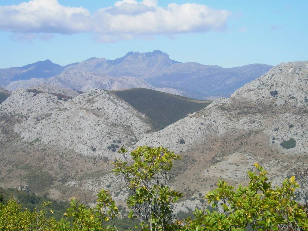 Foto de Vidrieros (Palencia), España