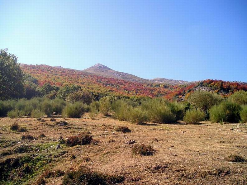 Foto de Cantoral (Palencia), España