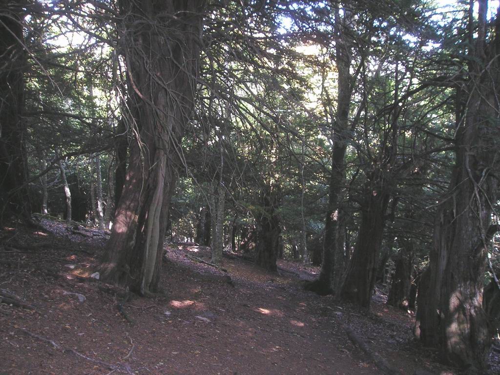 Foto de Cantoral (Palencia), España