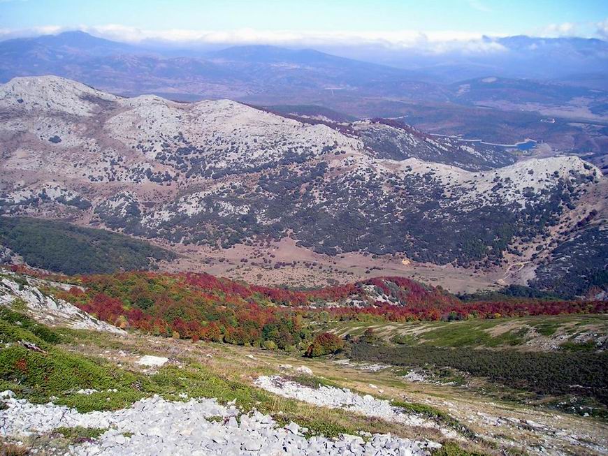 Foto de Cantoral (Palencia), España