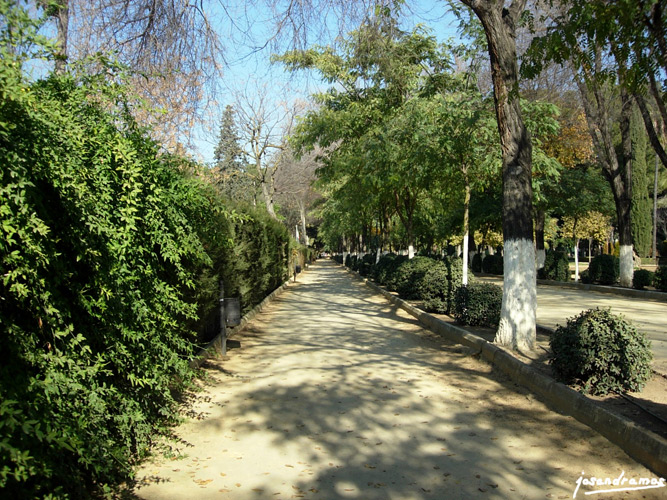 Foto de Utrera (Sevilla), España