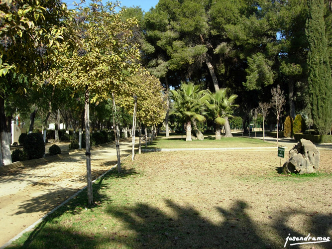 Foto de Utrera (Sevilla), España