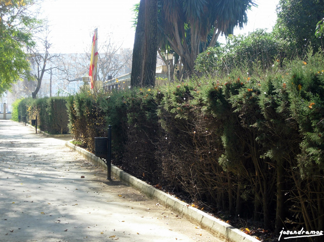 Foto de Utrera (Sevilla), España