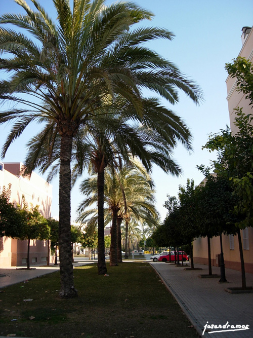 Foto de Utrera (Sevilla), España
