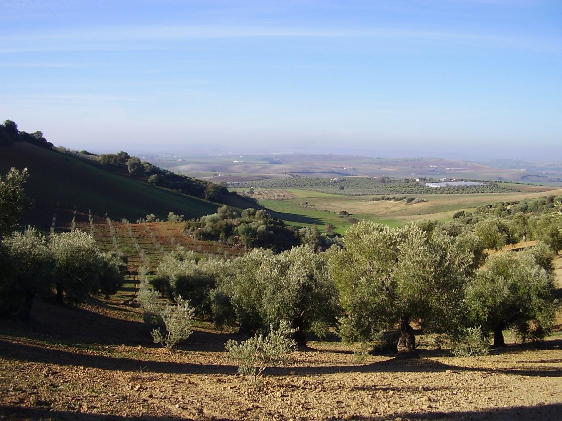 Foto de Puerto Serrano (Cádiz), España