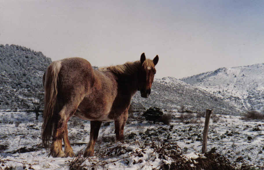 Foto de Prullans (Lleida), España
