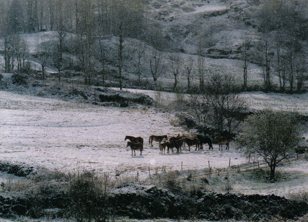 Foto de Prullans (Lleida), España
