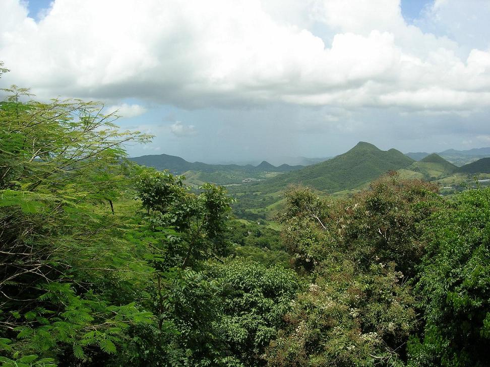 Foto de Adjuntas, Puerto Rico