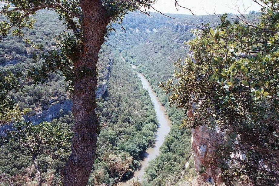 Foto de Pesquera de Ebro (Burgos), España