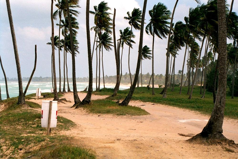 Foto de Carolina, Puerto Rico