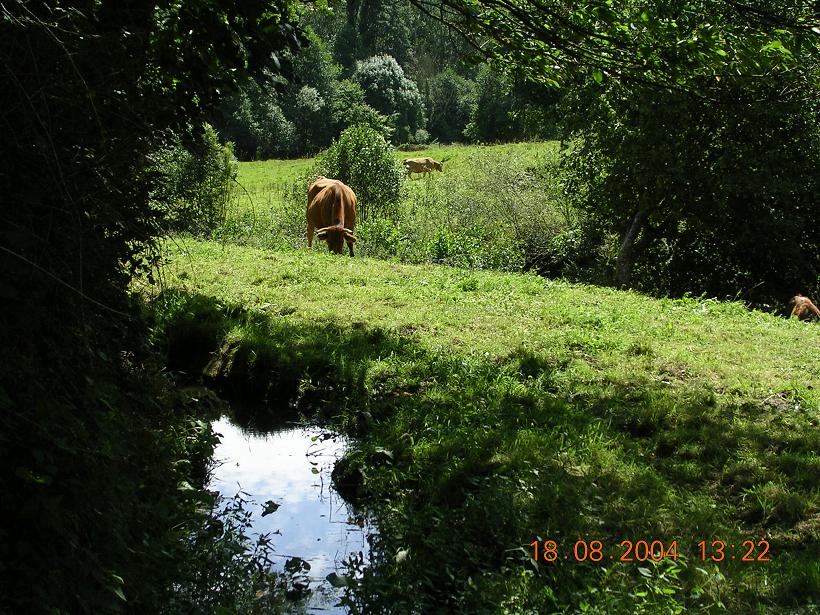 Foto de Pola de Allande (Asturias), España