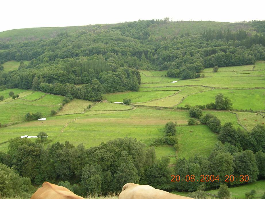 Foto de Pola de Allande (Asturias), España