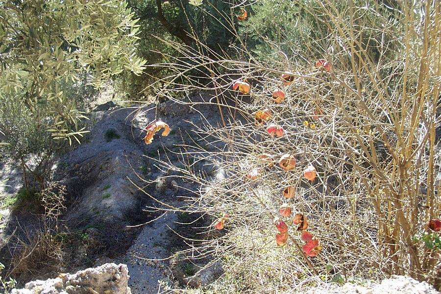 Foto de Canjáyar (Almería), España