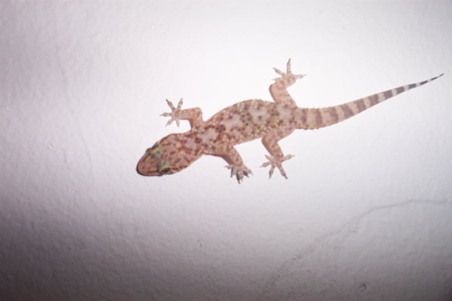 Foto de Canjáyar (Almería), España