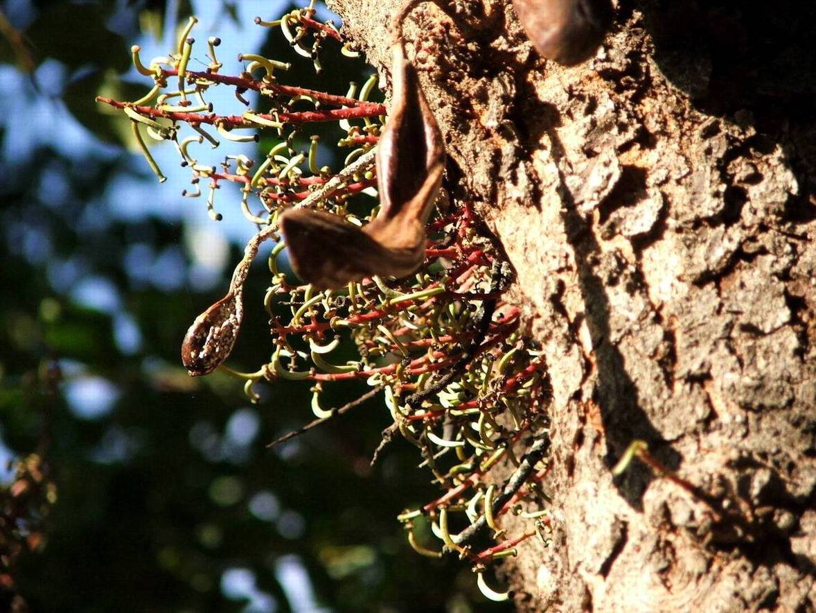 Foto de Canjáyar (Almería), España