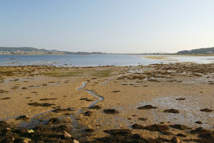 Foto de A Toxa (Pontevedra), España