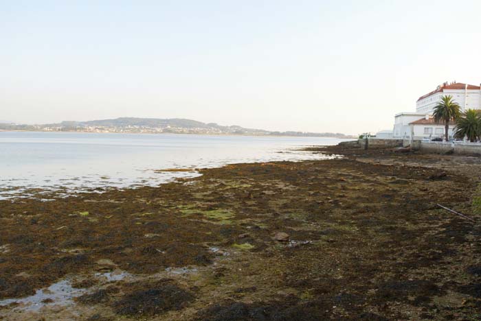 Foto de A Toxa (Pontevedra), España