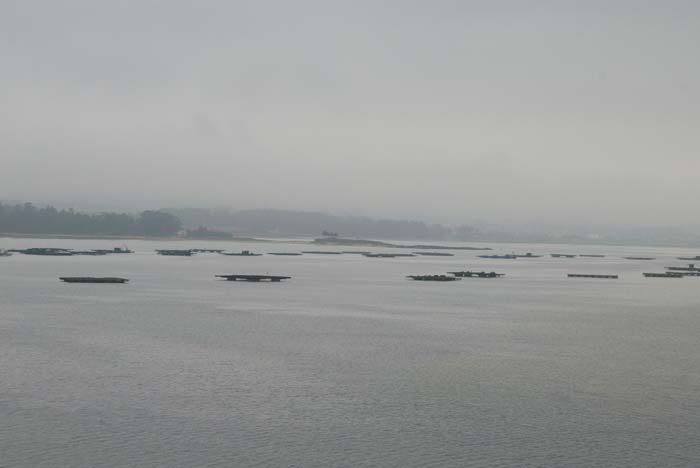 Foto de A Toxa (Pontevedra), España