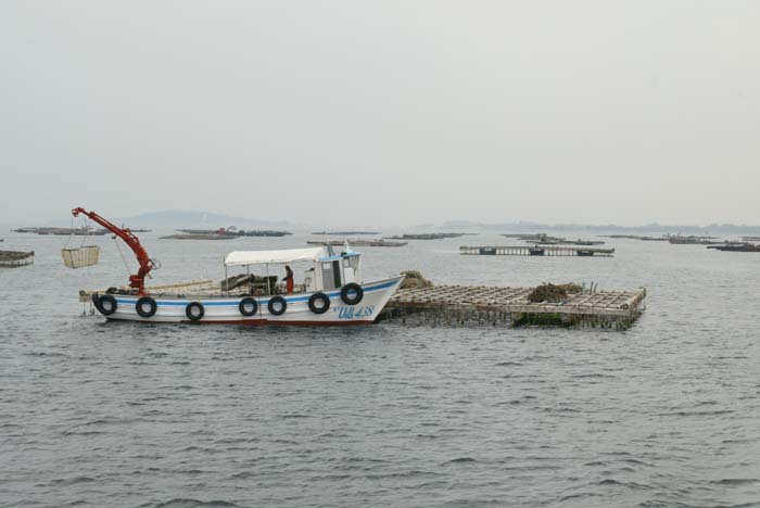 Foto de O Grove (Pontevedra), España