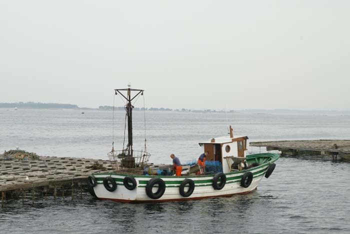 Foto de O Grove (Pontevedra), España