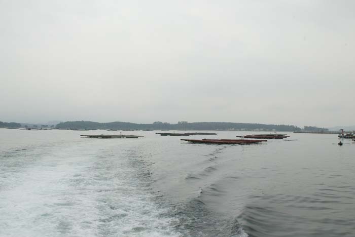 Foto de O Grove (Pontevedra), España