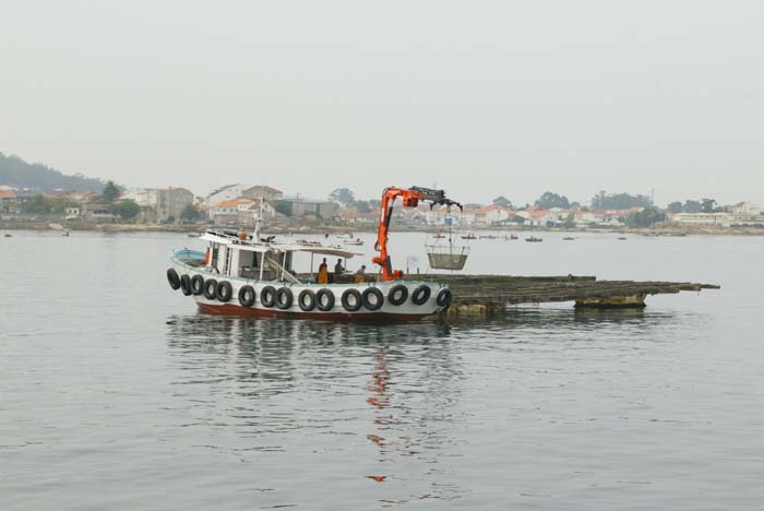 Foto de O Grove (Pontevedra), España