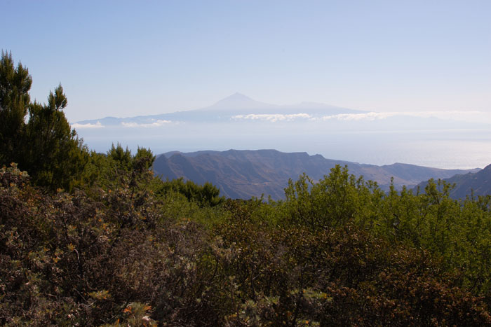 Foto de La Gomera (Santa Cruz de Tenerife), España
