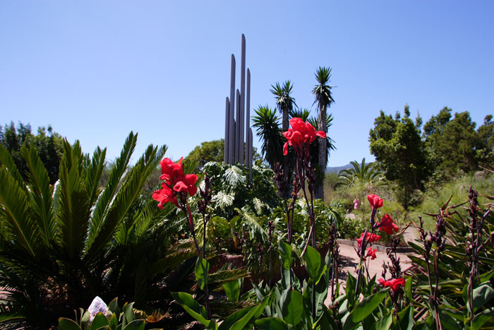 Foto de La Gomera (Santa Cruz de Tenerife), España