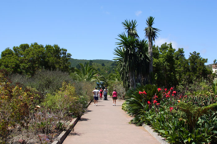 Foto de La Gomera (Santa Cruz de Tenerife), España
