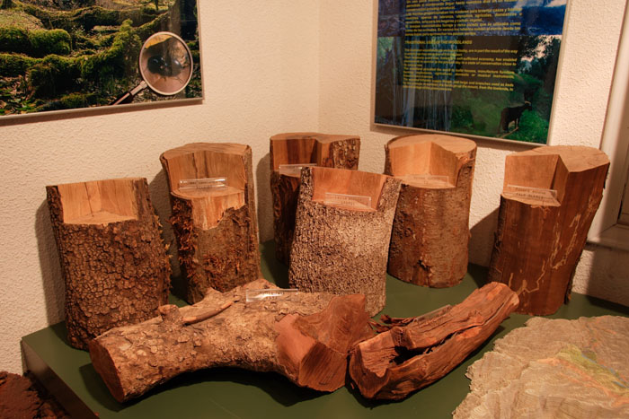 Foto de La Gomera (Santa Cruz de Tenerife), España