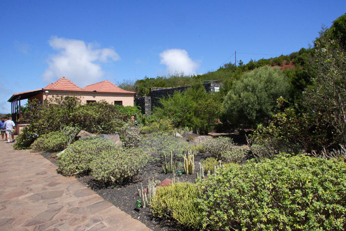 Foto de La Gomera (Santa Cruz de Tenerife), España