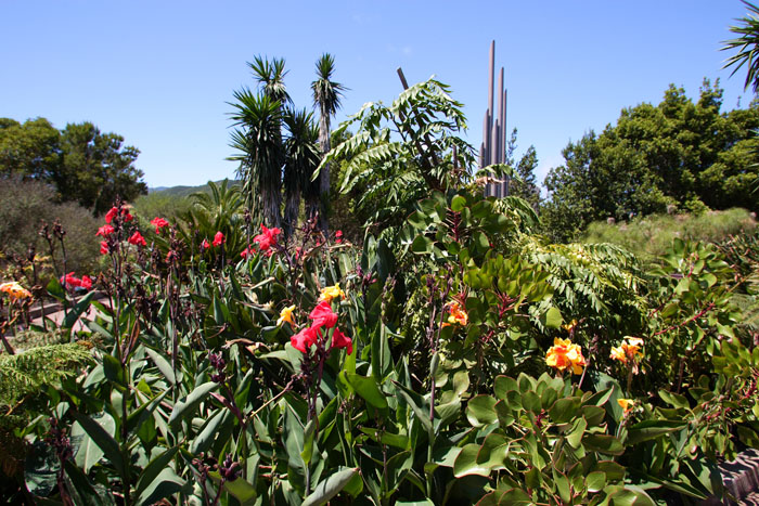 Foto de La Gomera (Santa Cruz de Tenerife), España