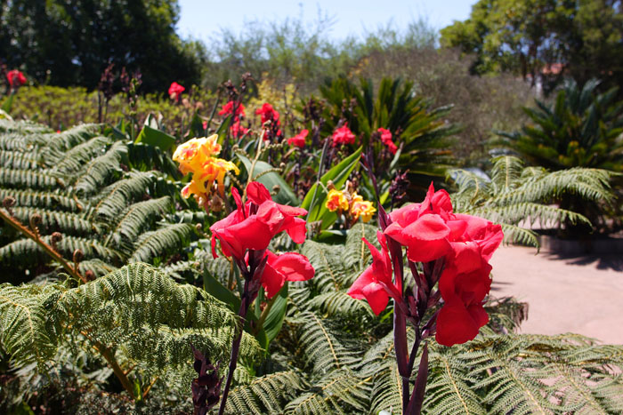 Foto de La Gomera (Santa Cruz de Tenerife), España
