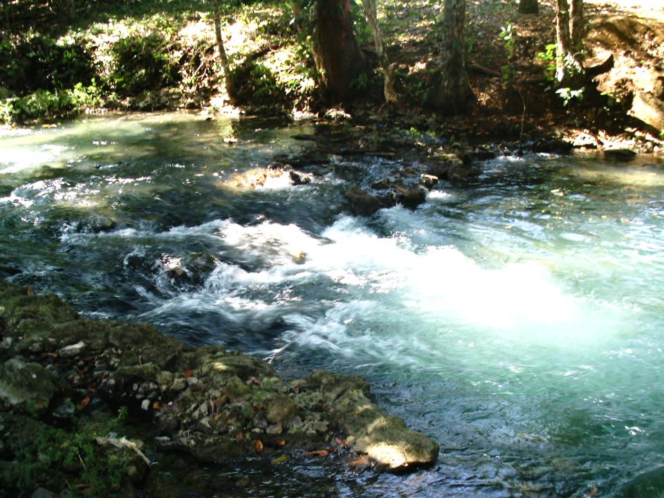 Foto de PALENQUE CHIAPAS, México