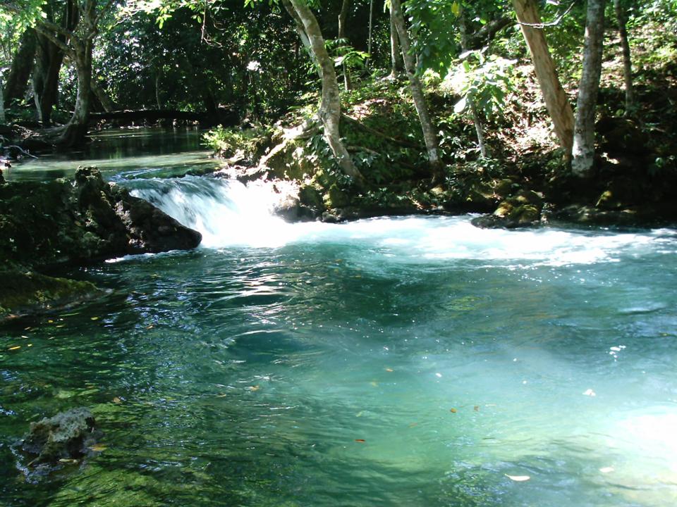 Foto de PALENQUE CHIAPAS, México