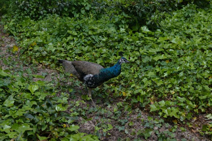 Foto de Barcelona (Cataluña), España