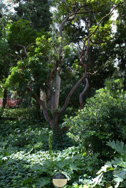 Foto de Barcelona (Cataluña), España