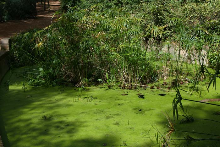 Foto de Barcelona (Cataluña), España