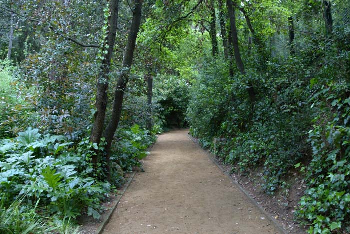 Foto de Barcelona (Cataluña), España