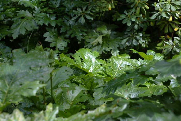 Foto de Barcelona (Cataluña), España